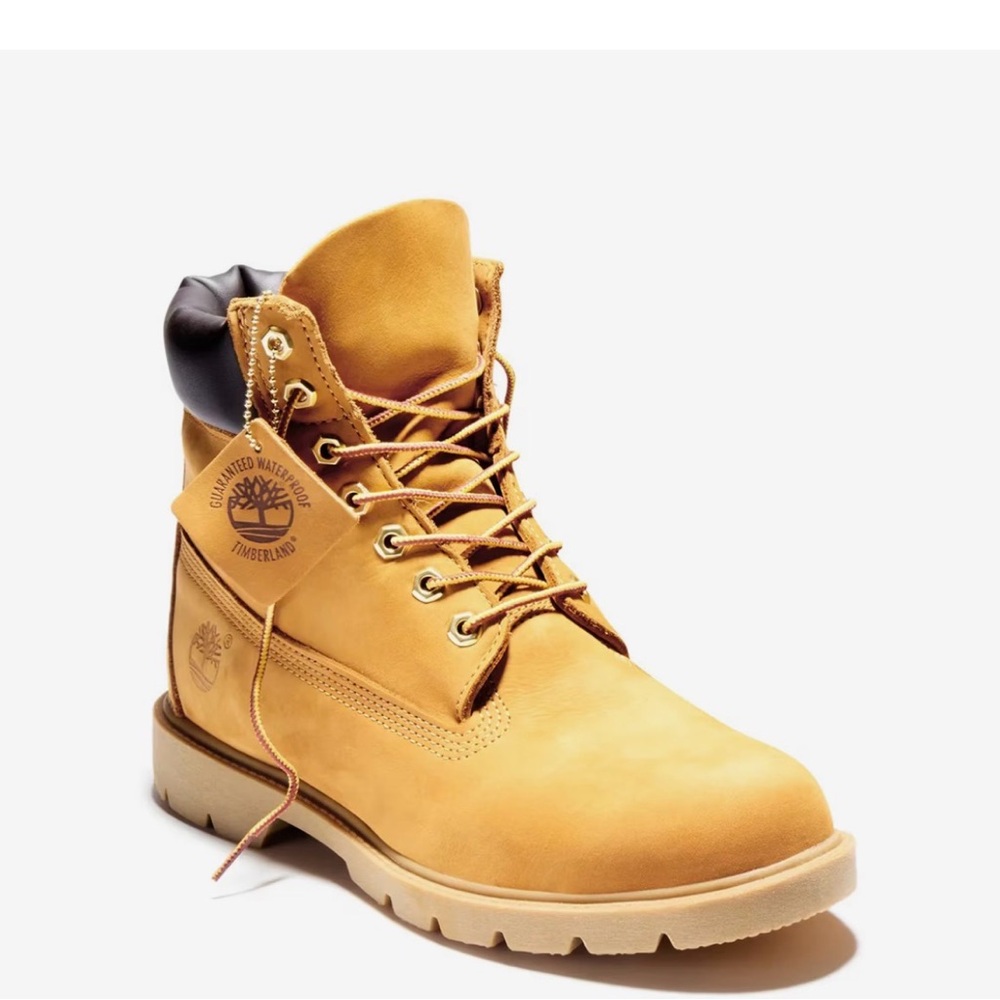 Timberland Waterproof Boot - Men's